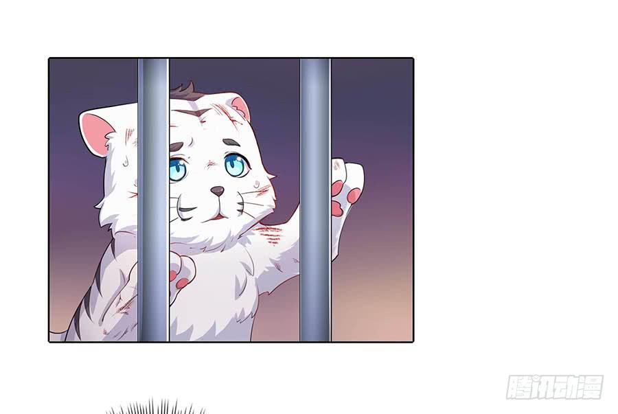 019青楼调情57
