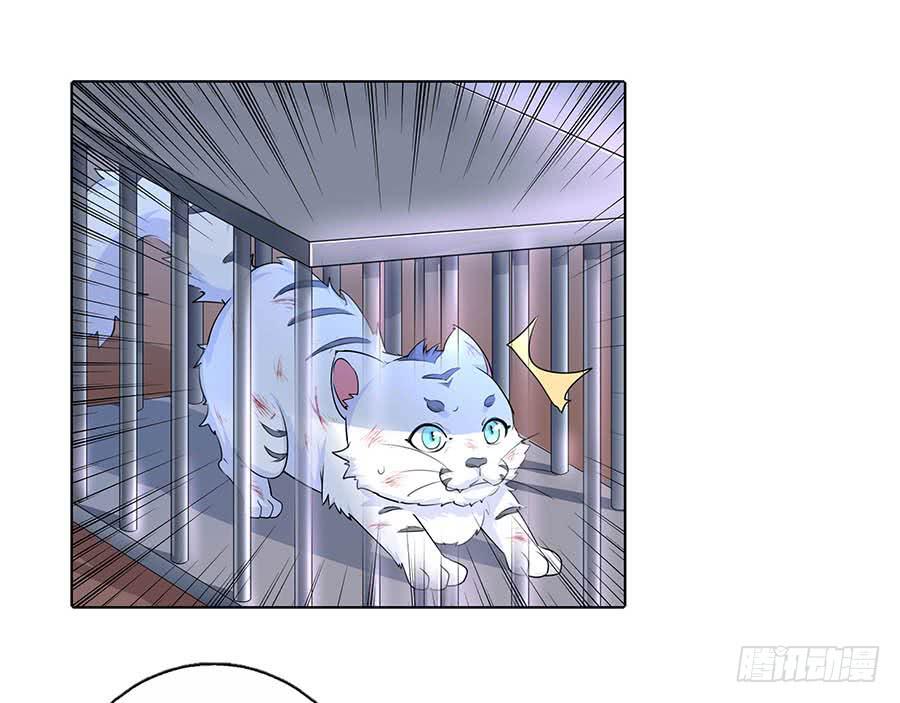 019青楼调情65
