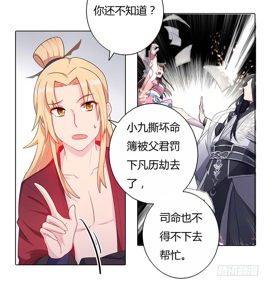 041蹊跷的往事39