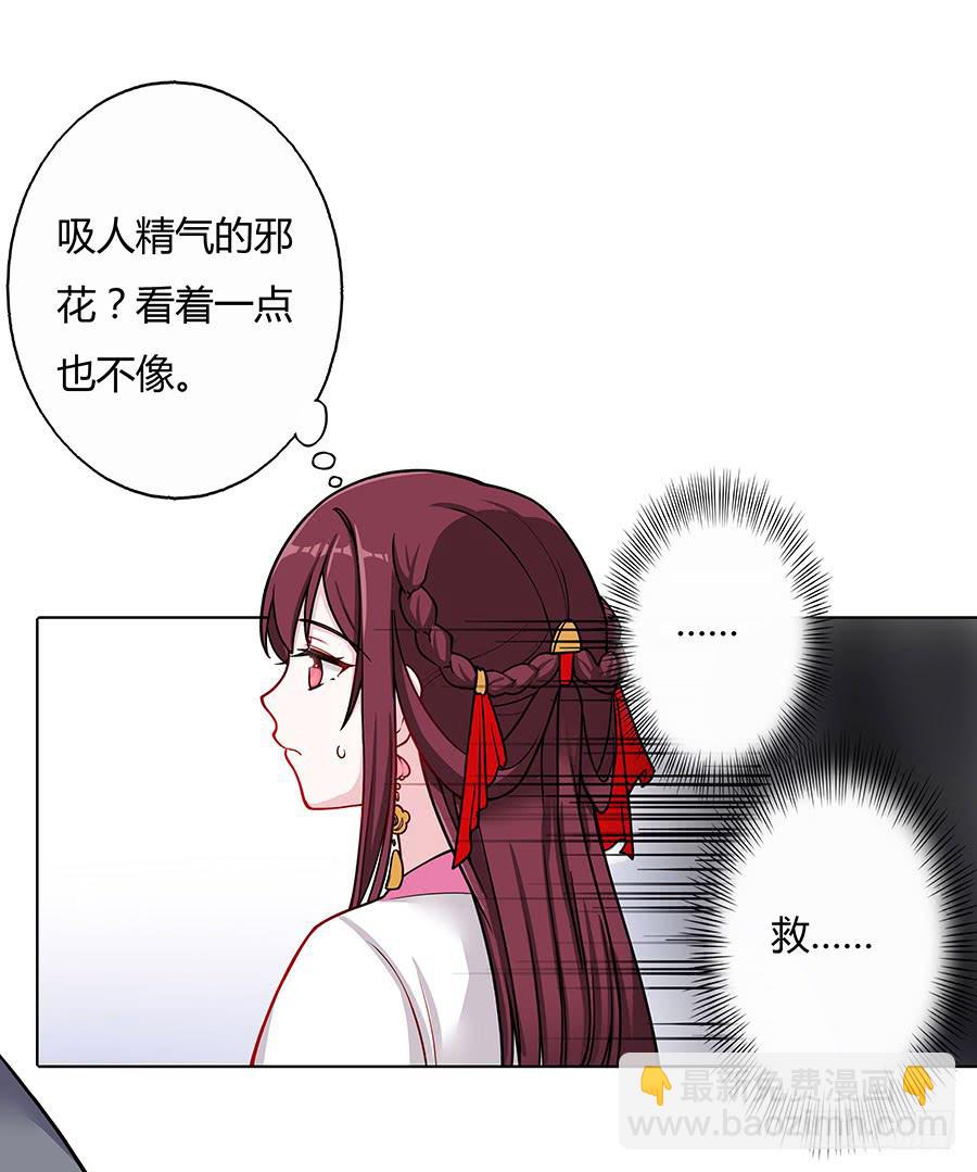 052护花使者12