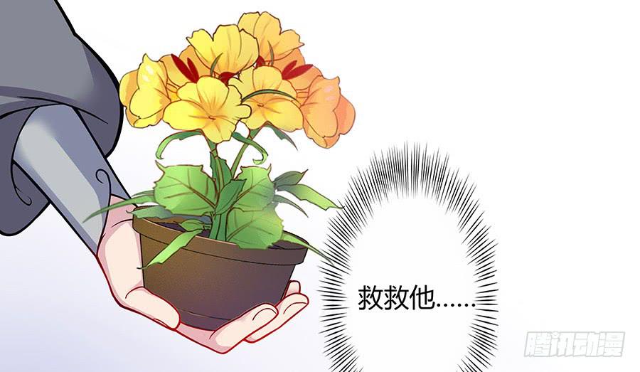 052护花使者13