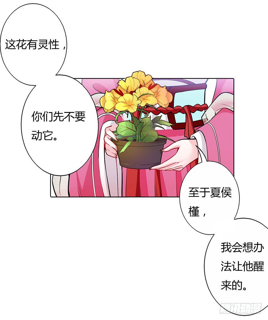 052护花使者33