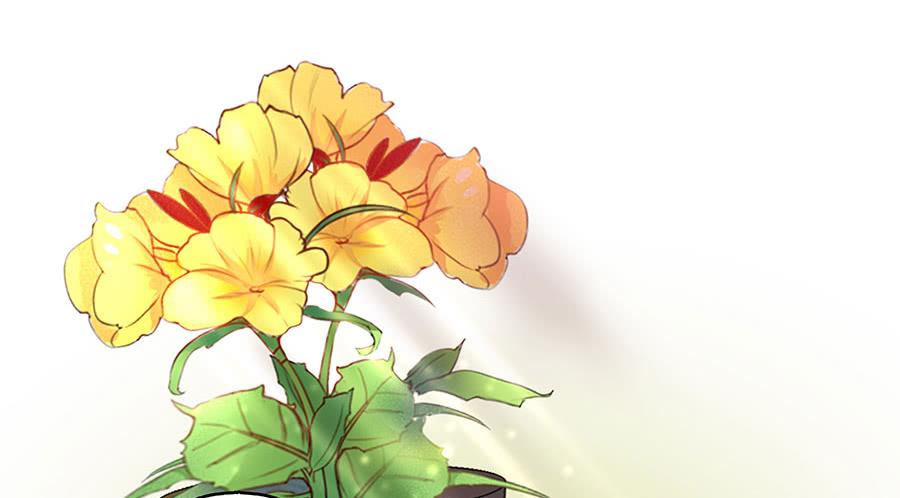 052护花使者43