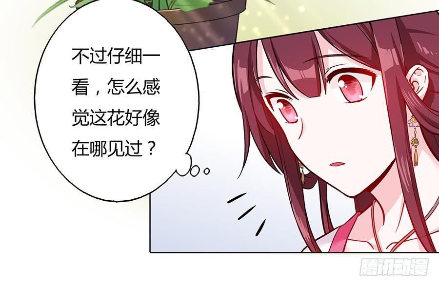 052护花使者44