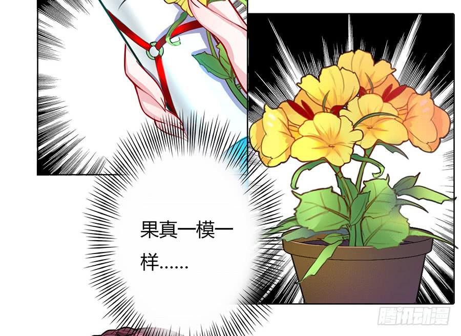 052护花使者53