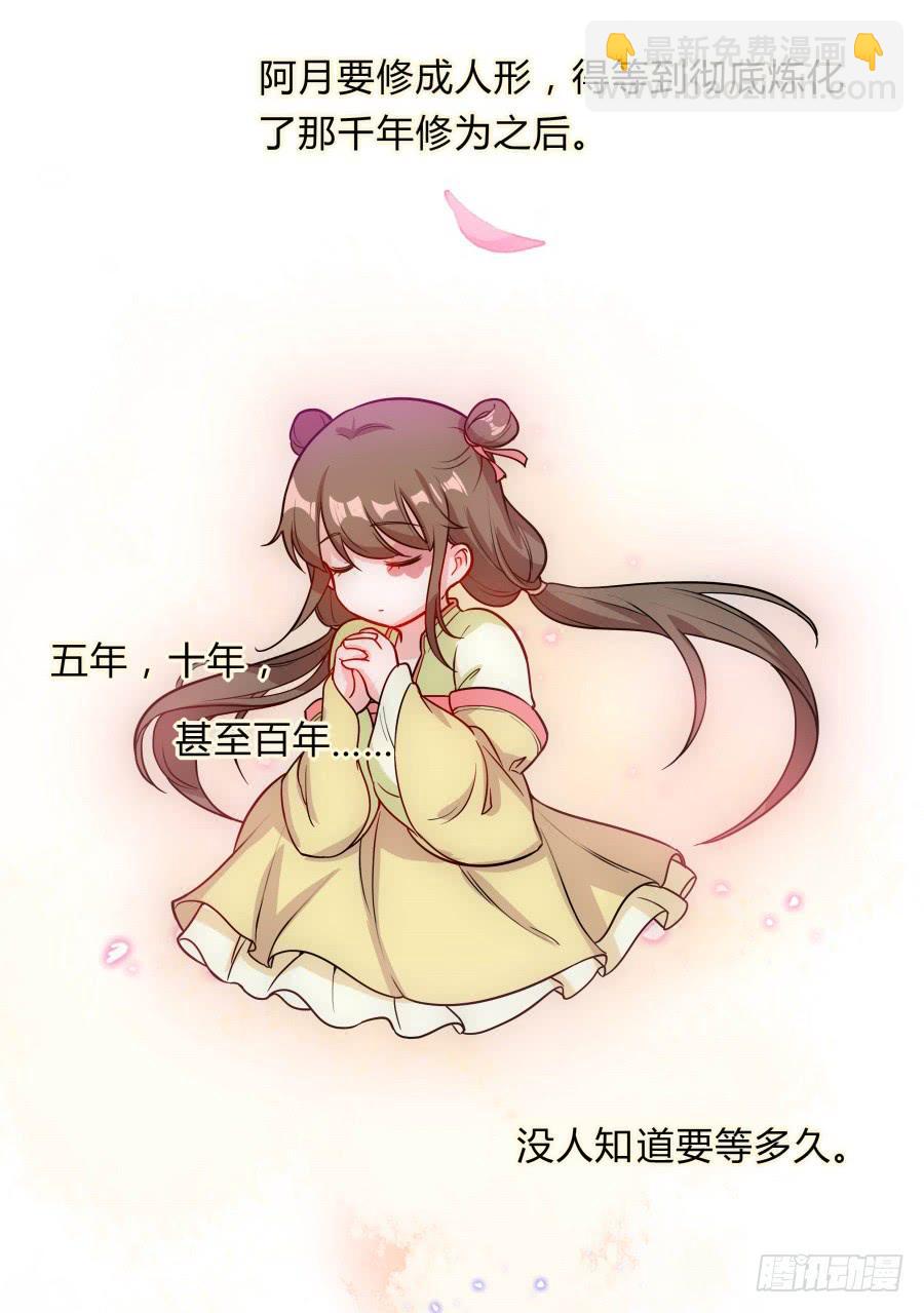 081愿天下有情人终成眷属·完结60