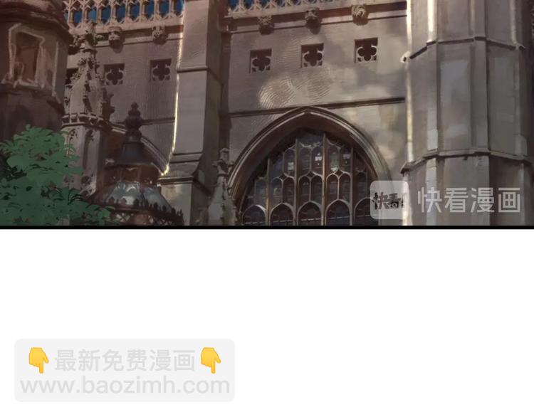 第54话 毁容的故事111