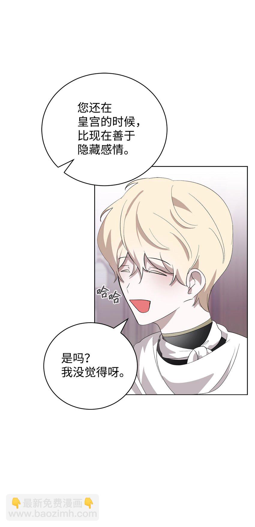 46 新的选择36
