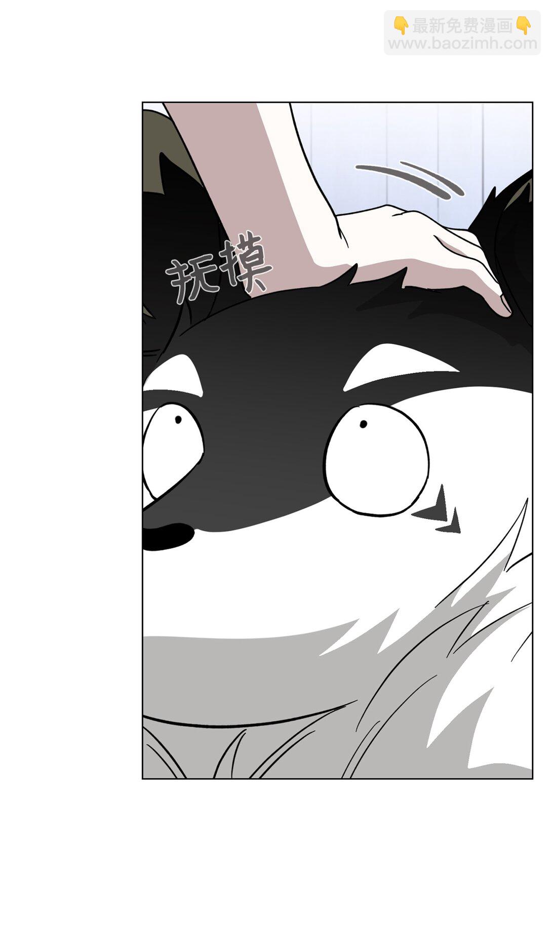 68 辛蒂亚的决心71