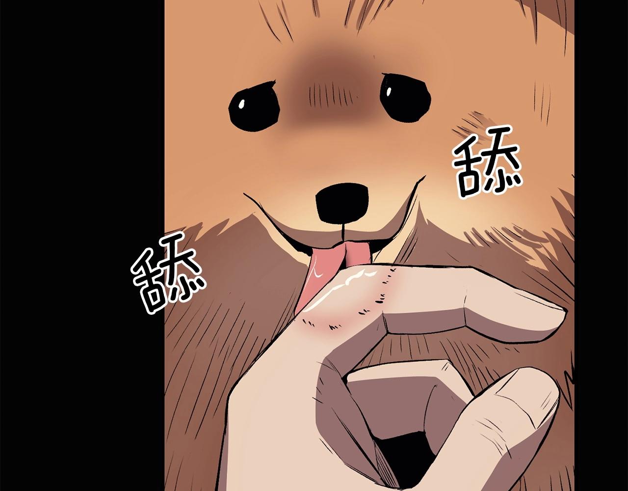 第34话 波比变身！212