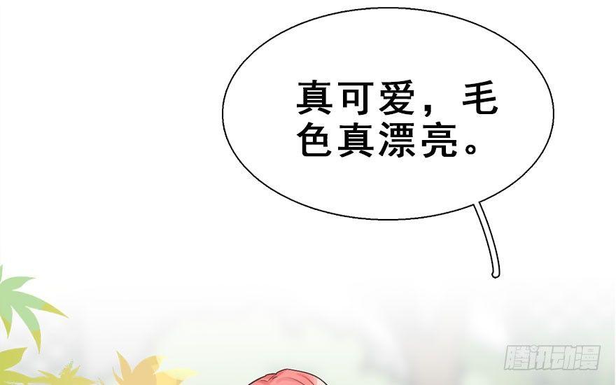 26.玩具61