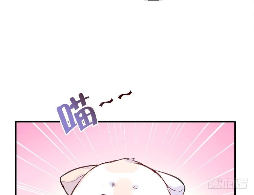 26.玩具71