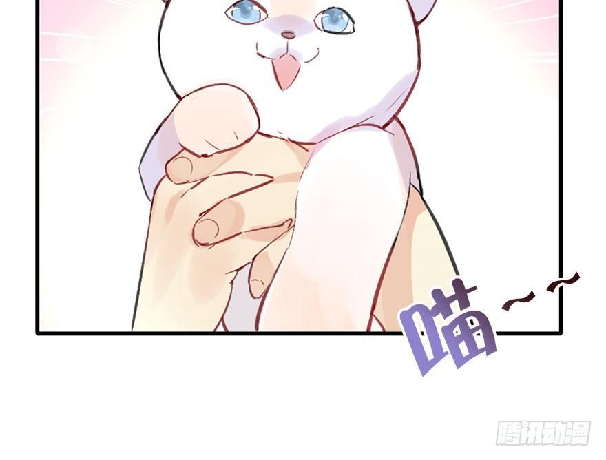 26.玩具72