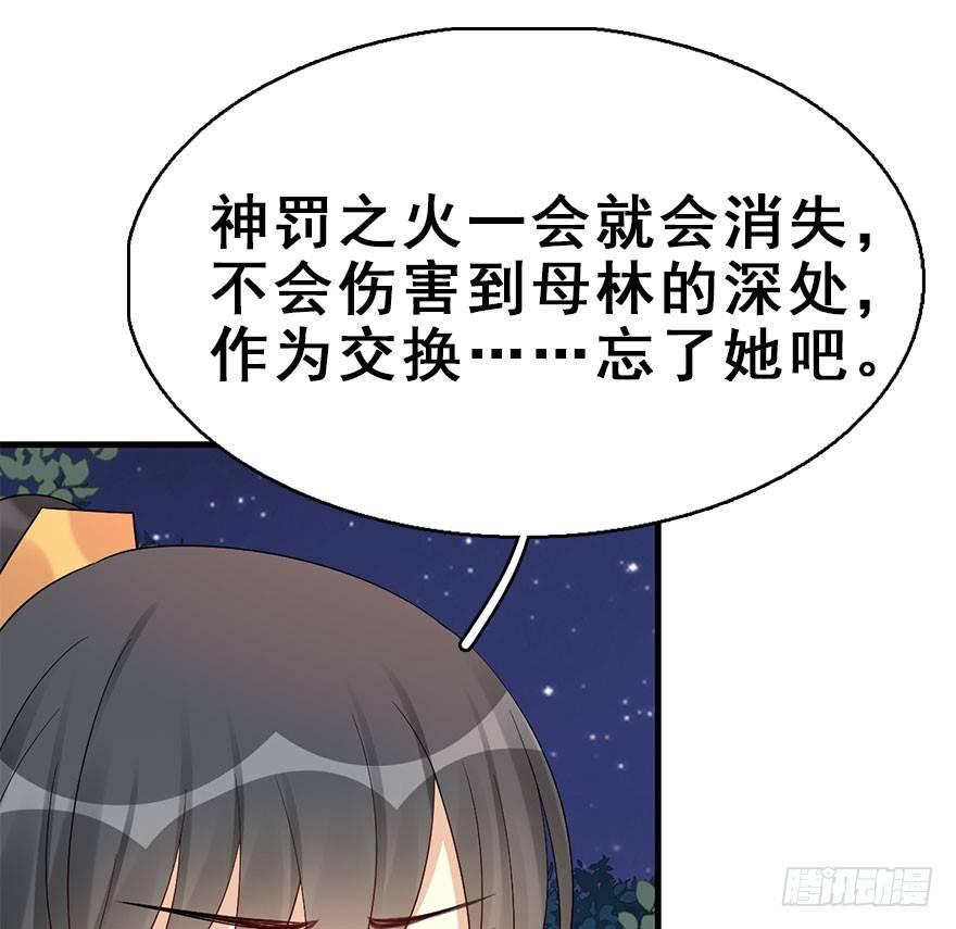 71.玉之迷（6）41