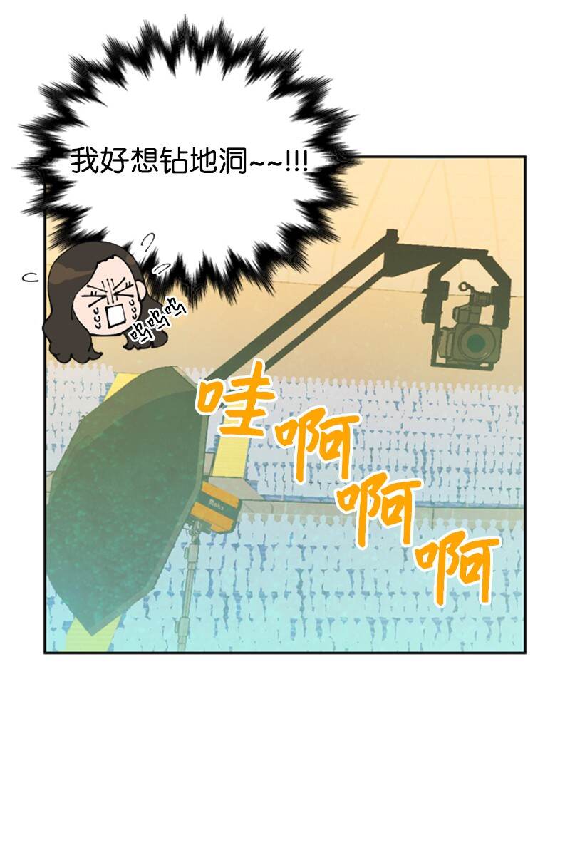37 报仇33