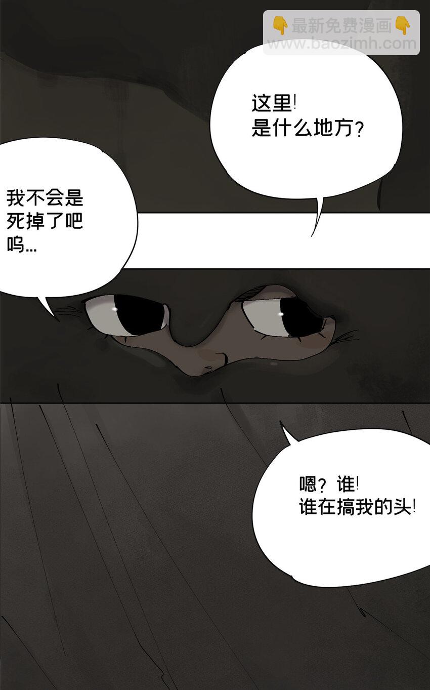 17 青蛙的金球3