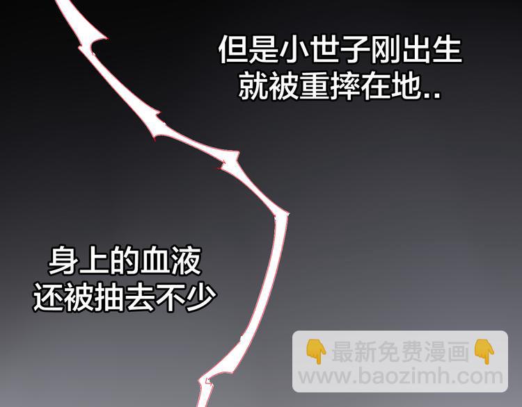 第33话 往日真相29