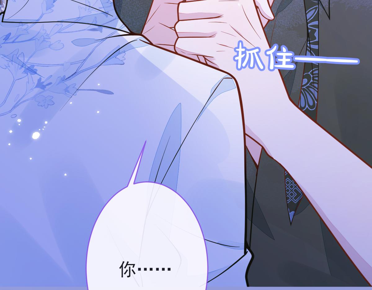 12-花孔雀。12