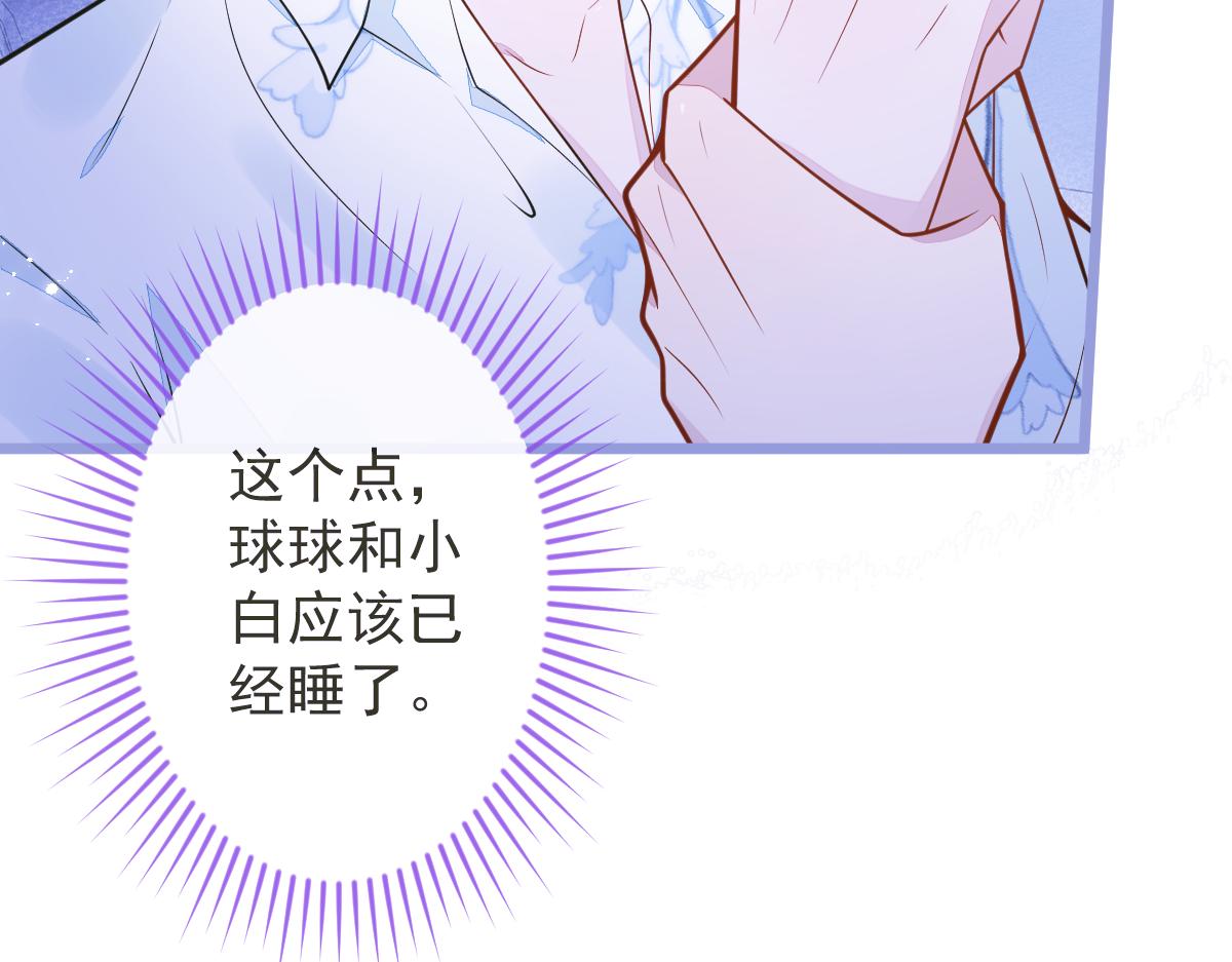 12-花孔雀。15