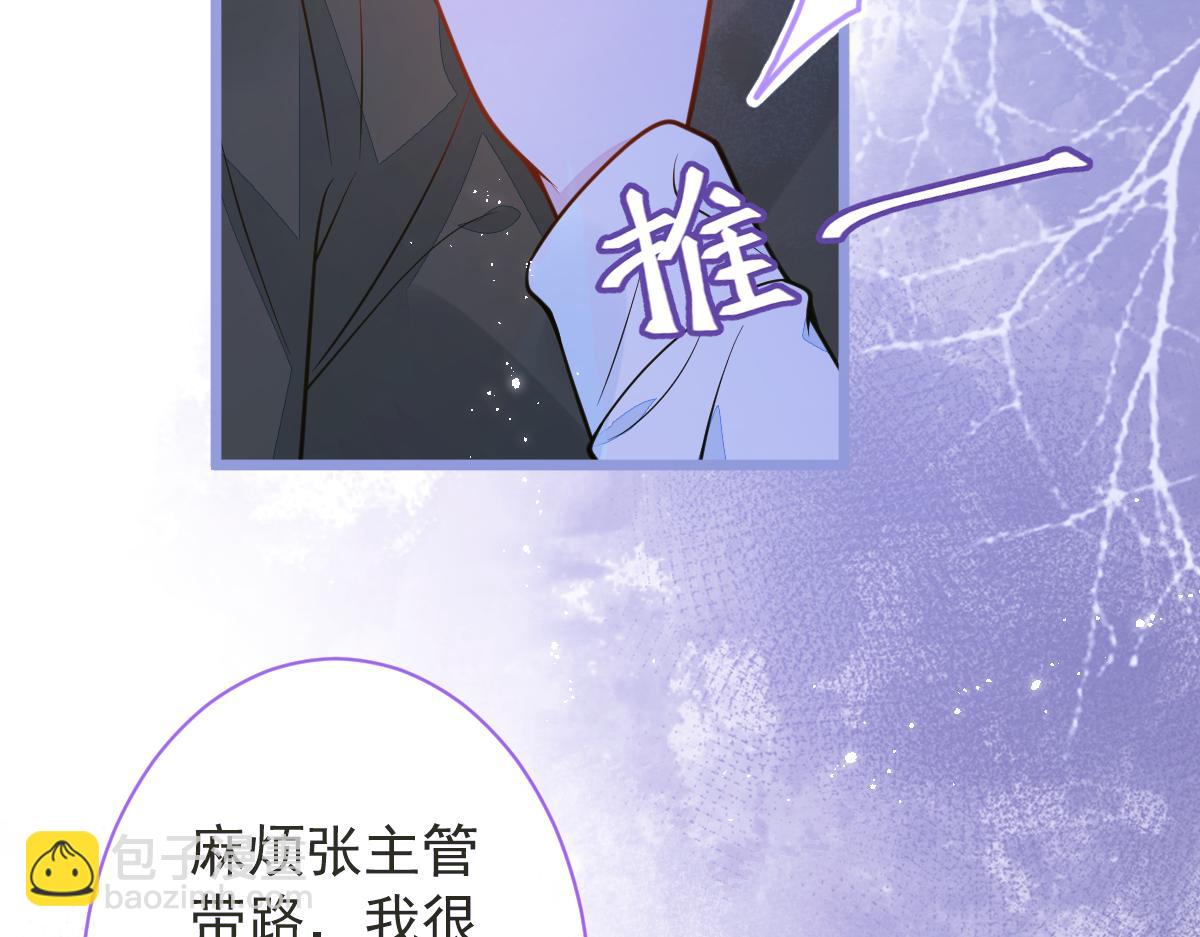 12-花孔雀。19