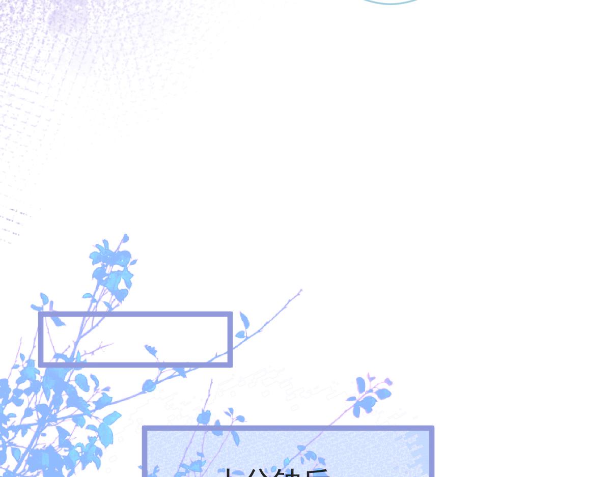 12-花孔雀。23