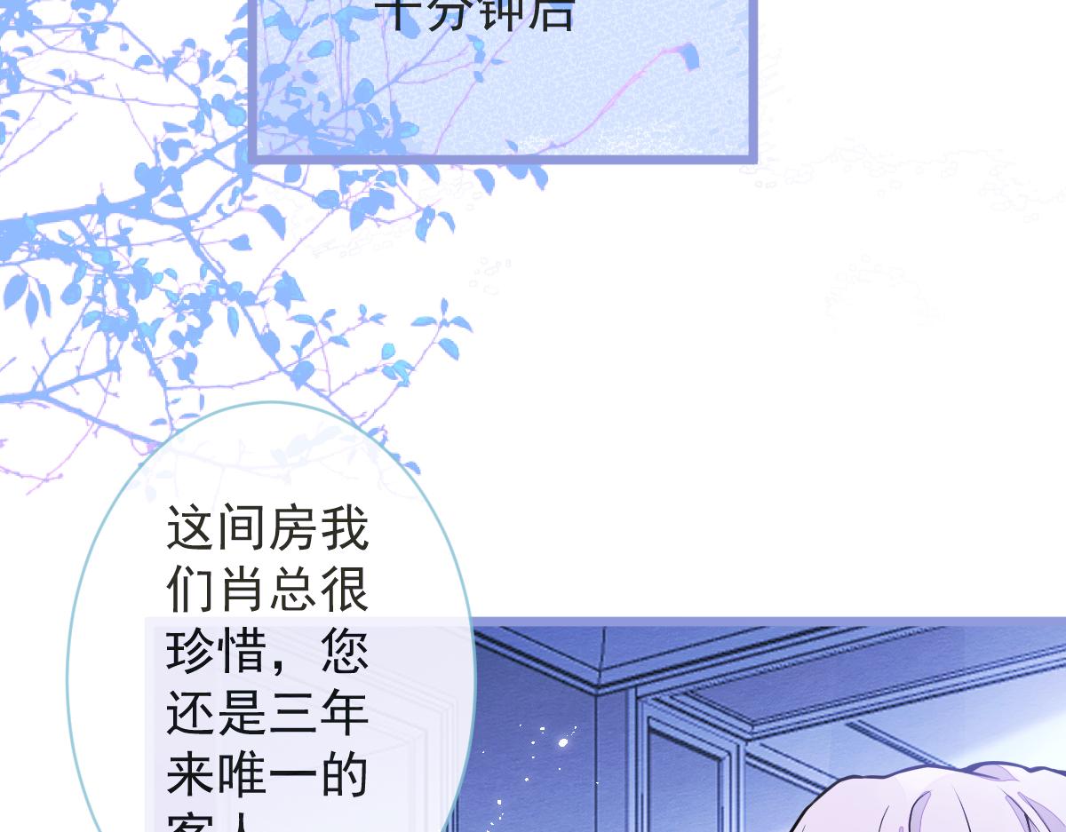 12-花孔雀。24
