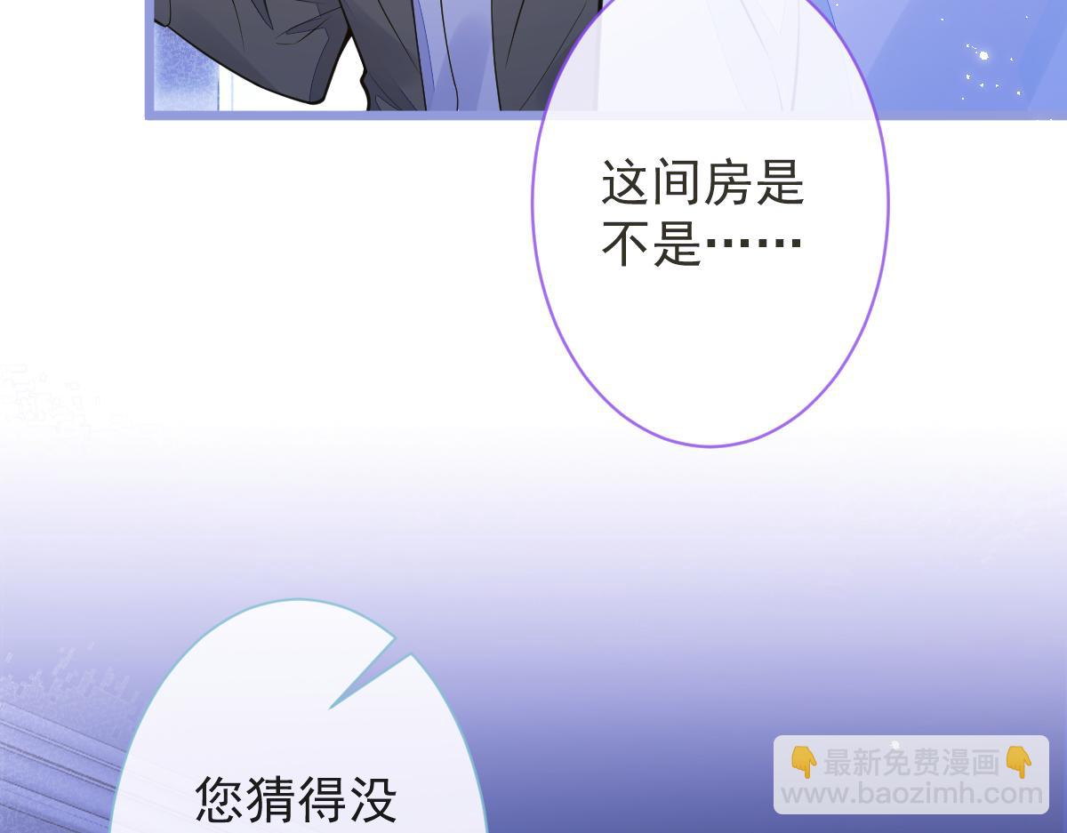 12-花孔雀。26