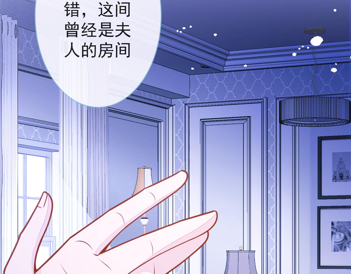 12-花孔雀。27