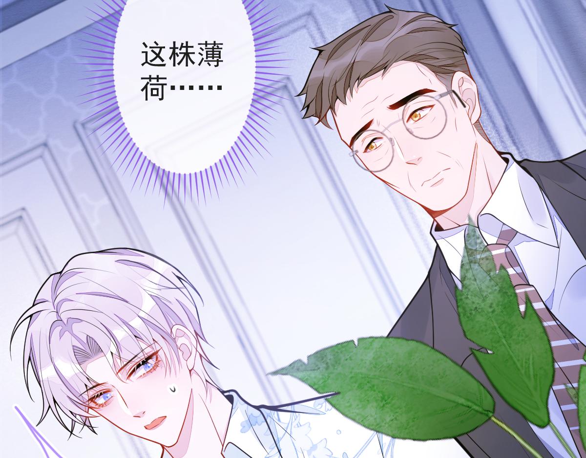 12-花孔雀。30
