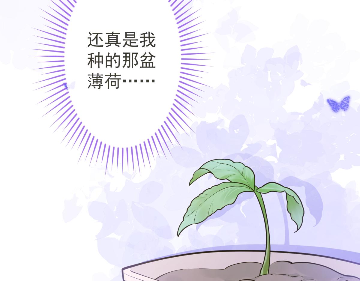 12-花孔雀。33