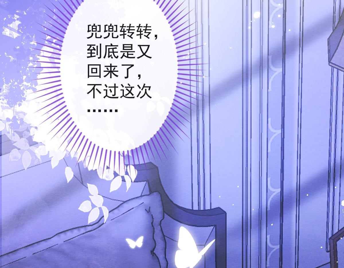 12-花孔雀。38