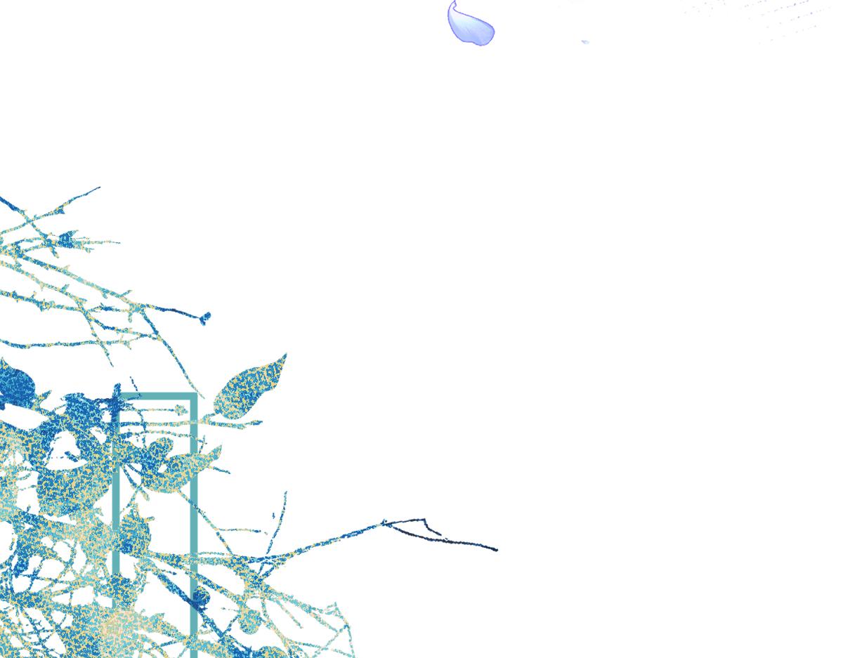 12-花孔雀。43