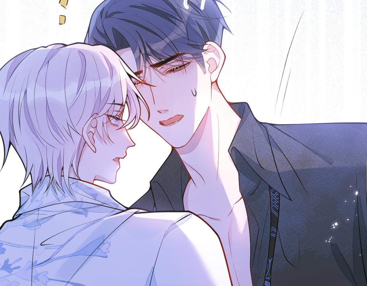 12-花孔雀。6