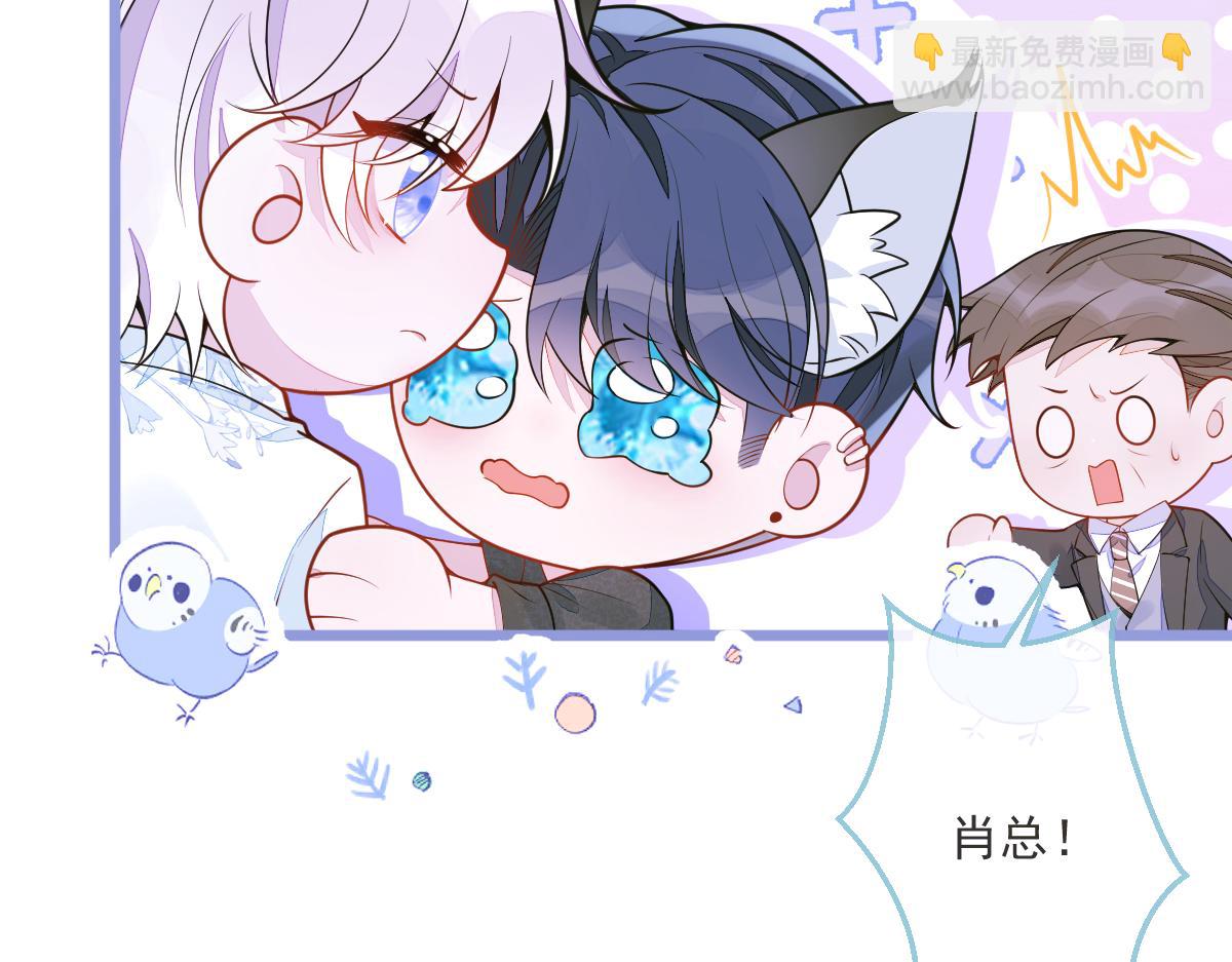 12-花孔雀。9