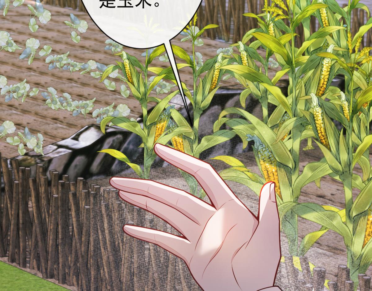 62-过往32