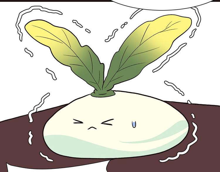 第31章 沈萤与狗不得进入！56