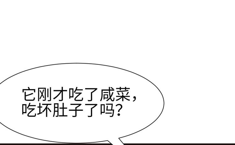 第31章 沈萤与狗不得进入！62