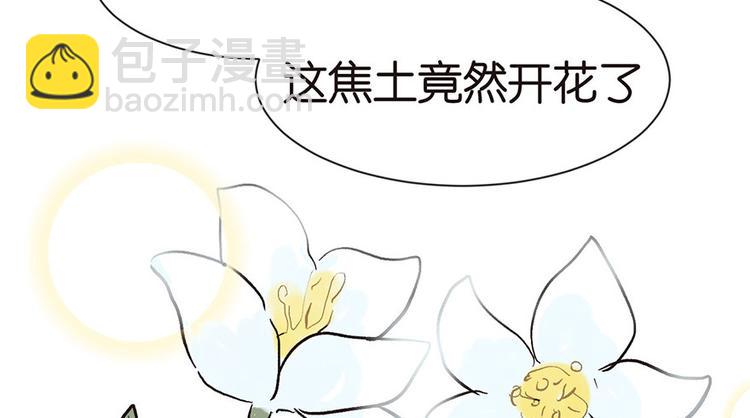 第32章 草木灵，变身！29