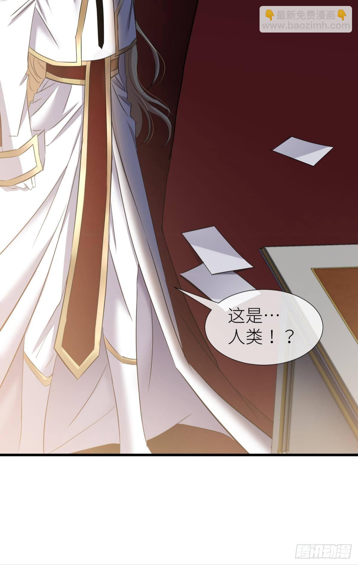 黑影40