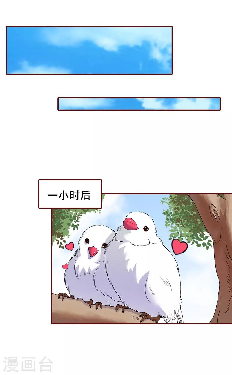 第30话 袁浅，我们去领证12