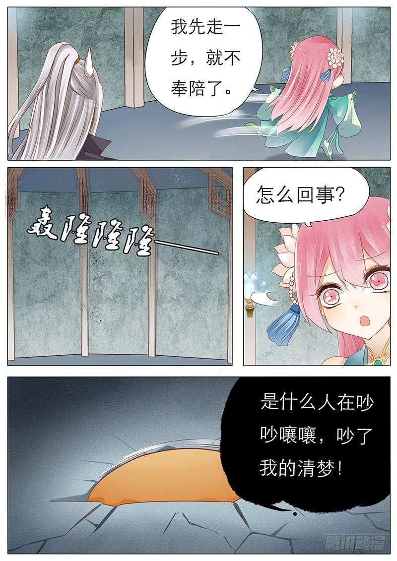 40 一个橘子2