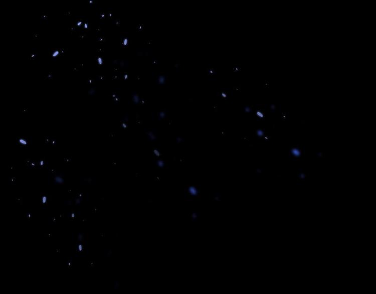 第20话 终于找到爸比了！39