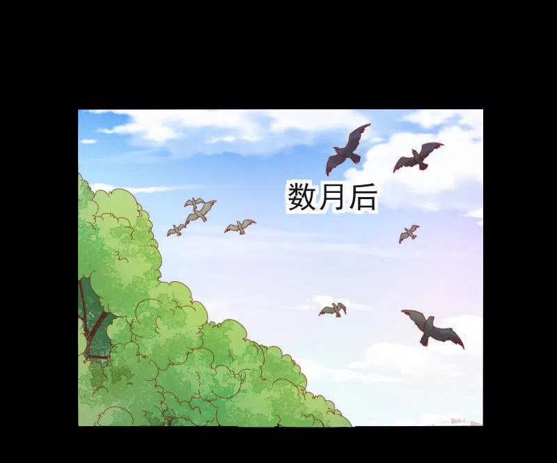 无赖王妃【58出监】1