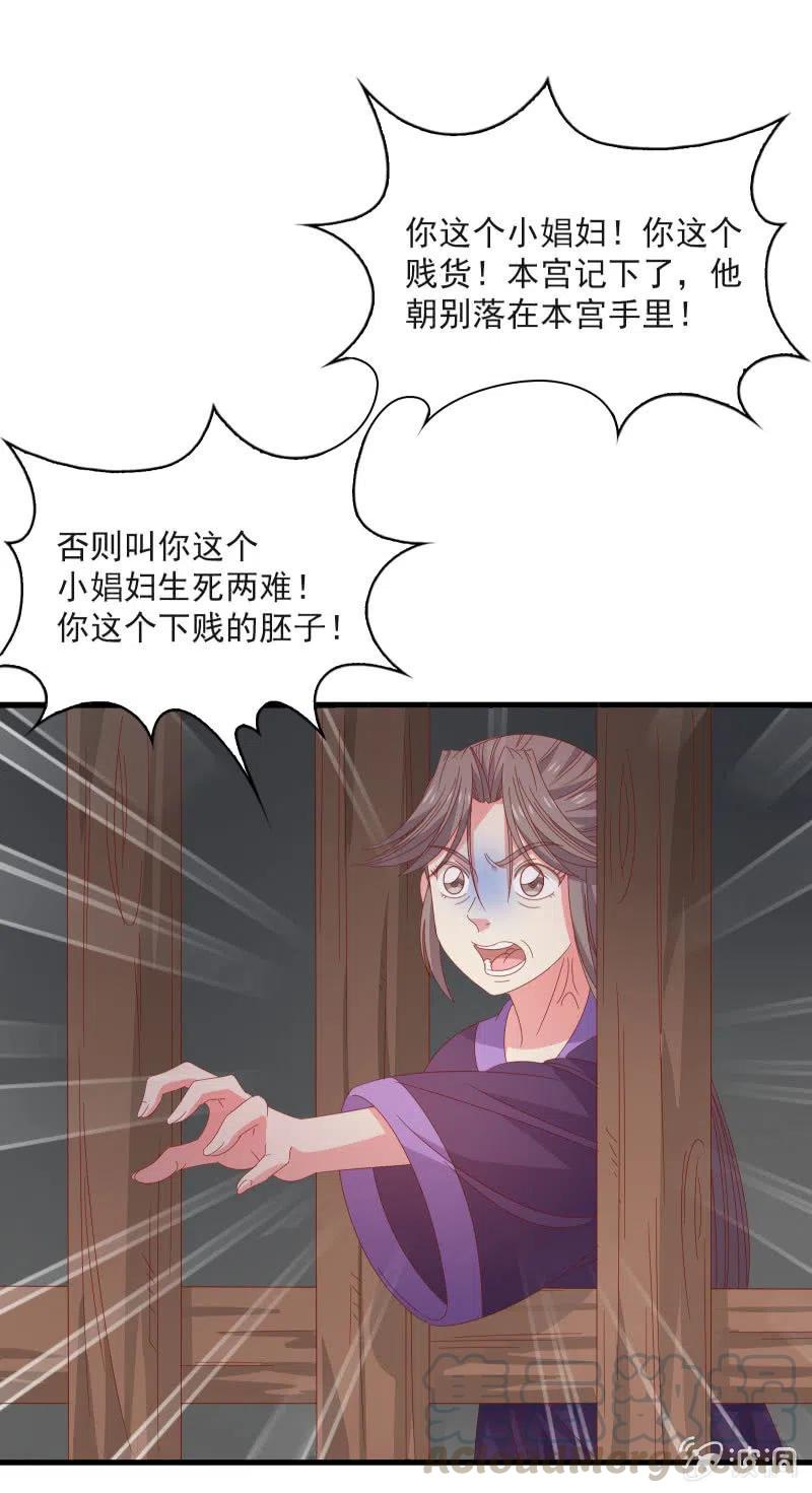 无赖王妃【58出监】24
