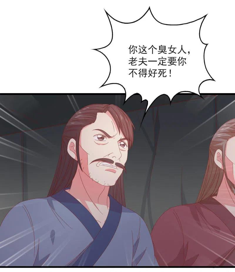 无赖王妃【58出监】26