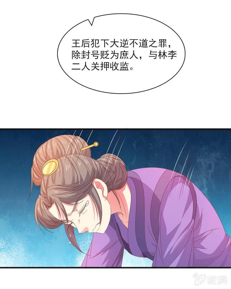 无赖王妃【58出监】8