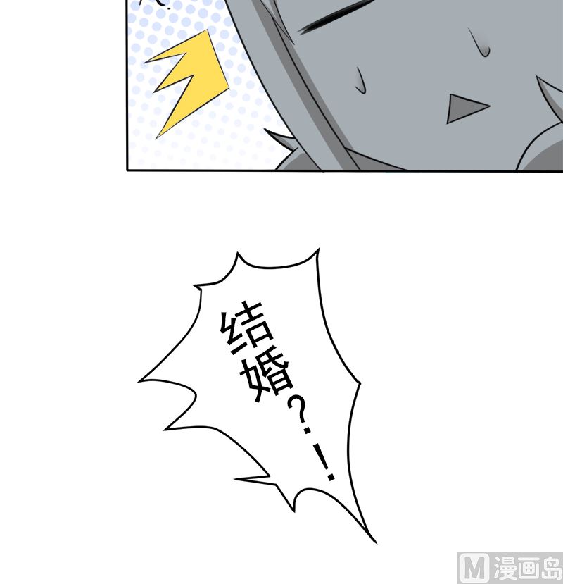 挡箭牌44