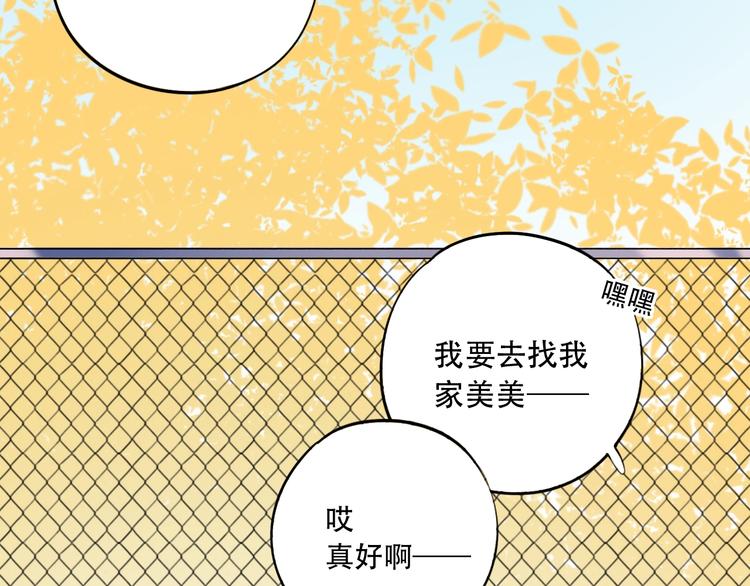 番外  陆映澈的不可说11