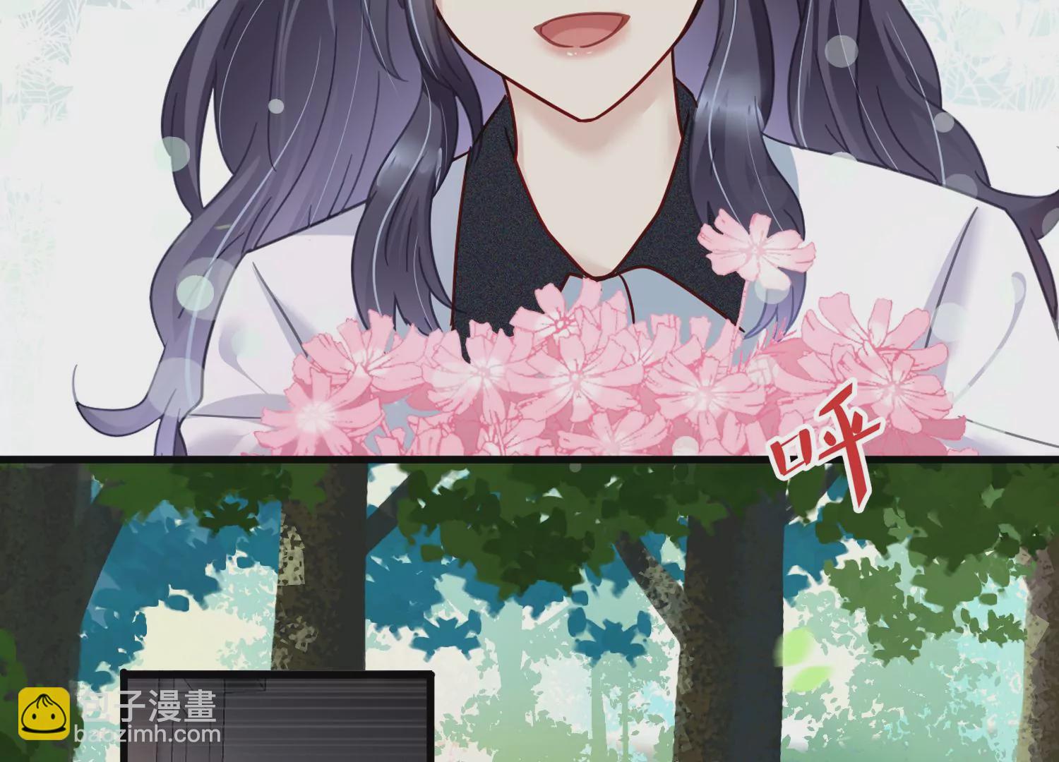 第51话 大波斯菊的回忆14
