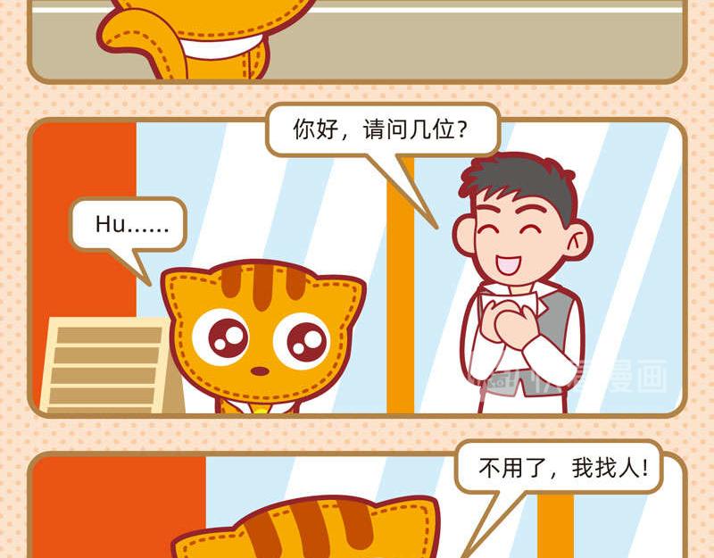22聪明如我三5